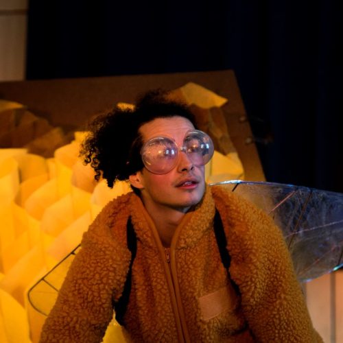 “Die Biene im Kopf” Theaterstück und Workshop